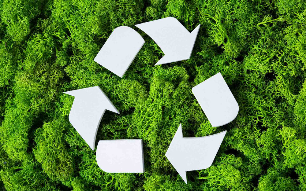 Difference Between Biodegradable and Compostable