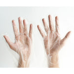 Certified Compostable Disposable Gloves